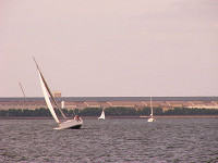 20081012_308_s.jpg