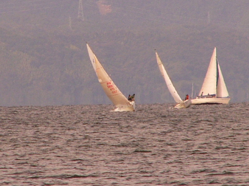 20081012_309.jpg