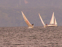 20081012_309_s.jpg