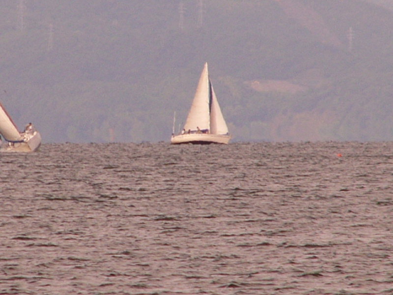 20081012_311.jpg
