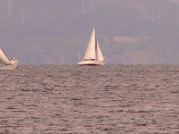 20081012_311_s.jpg