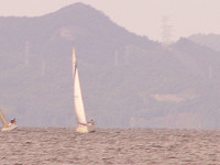 20081012_312_s.jpg
