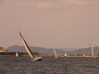 20081012_313_s.jpg