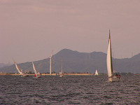 20081012_315_s.jpg