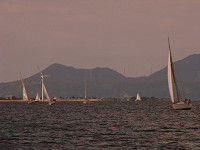 20081012_316_s.jpg