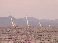 20081012_317_s.jpg