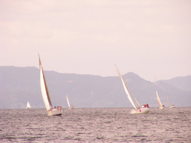 20081012_318.jpg