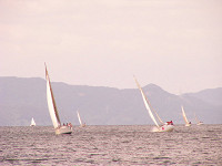 20081012_318_s.jpg