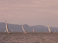 20081012_319_s.jpg