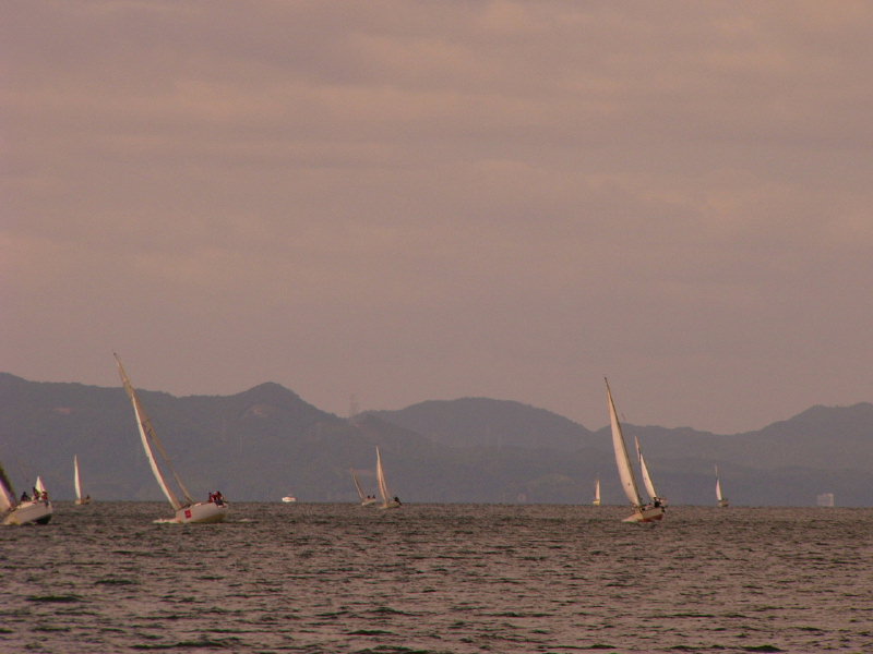 20081012_320.jpg