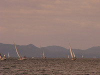 20081012_320_s.jpg
