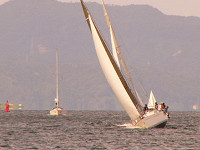 20081012_321_s.jpg