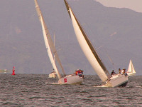 20081012_323_s.jpg