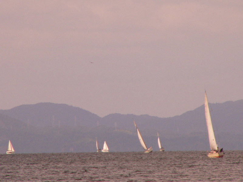 20081012_324.jpg