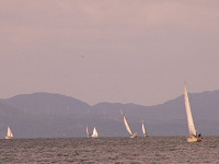 20081012_324_s.jpg