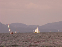 20081012_333_s.jpg