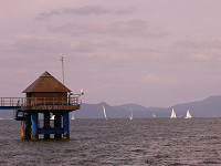 20081012_334_s.jpg