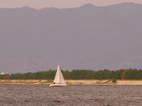 20081012_337_s.jpg