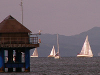 20081012_338_s.jpg
