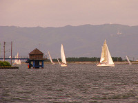 20081012_344_s.jpg