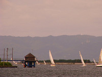 20081012_345_s.jpg