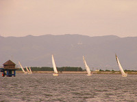 20081012_346_s.jpg