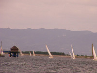 20081012_347_s.jpg