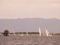 20081012_348_s.jpg