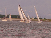 20081012_350_s.jpg