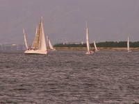 20081012_354_s.jpg