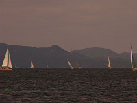 20081012_357_s.jpg