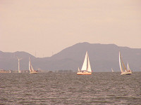 20081012_358_s.jpg