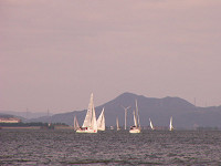 20081012_362_s.jpg