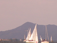 20081012_363_s.jpg