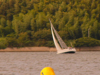 20081012_364_s.jpg