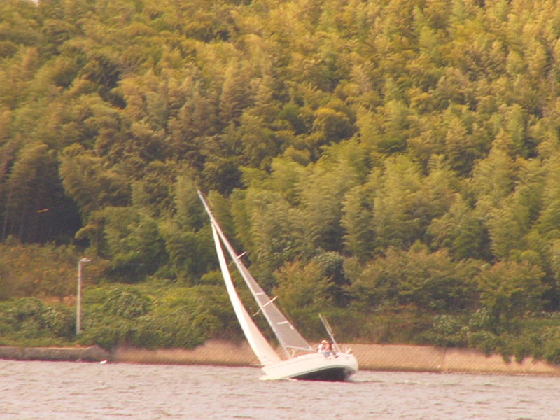 20081012_365.jpg