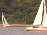 20081012_369_s.jpg