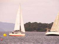 20081012_371_s.jpg