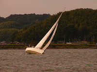20081012_384_s.jpg