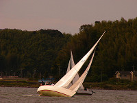 20081012_385_s.jpg