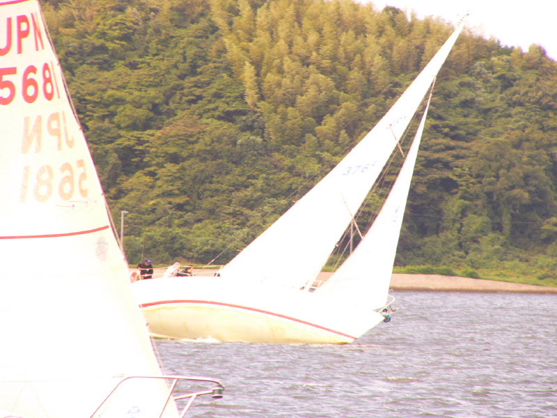 20081012_391.jpg