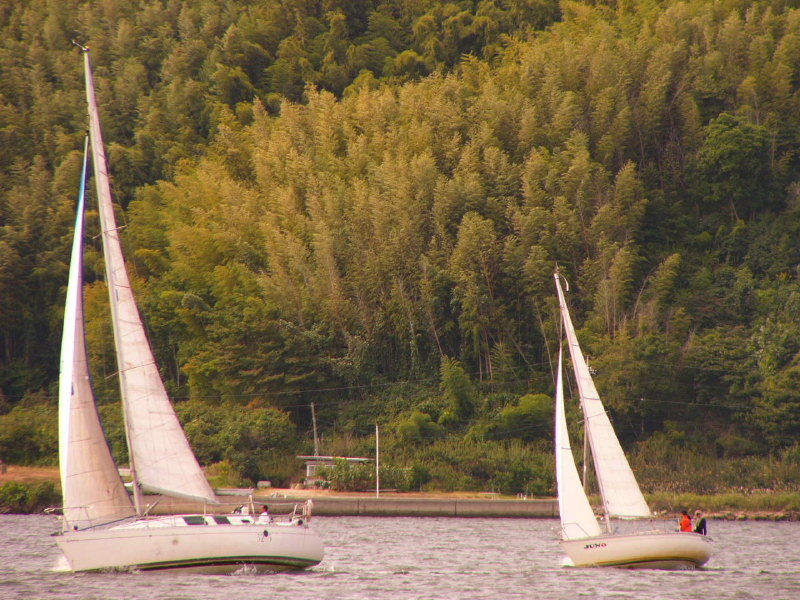 20081012_394.jpg