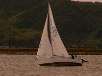 20081012_395_s.jpg
