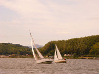 20081012_400_s.jpg