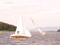 20081012_401_s.jpg