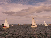 20081012_407_s.jpg