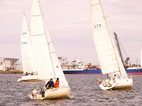 20081012_411_s.jpg