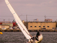 20081012_417_s.jpg