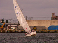 20081012_419_s.jpg