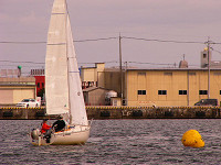 20081012_428_s.jpg